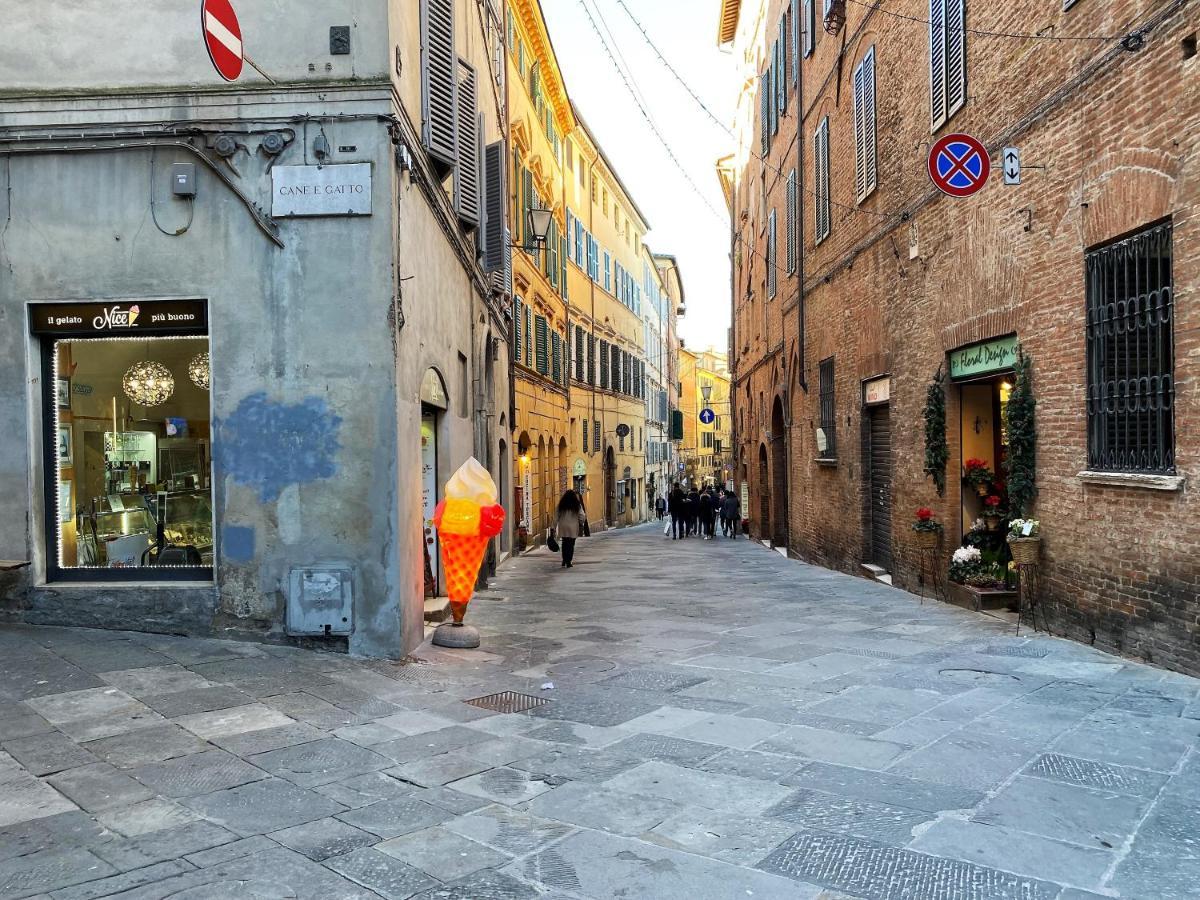 Il Mondo Di Claire - Cozy And Charm Siena Exterior foto